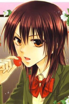 Portrait of Misaki Ayuzawa (鮎沢美咲), slot 0, AniList favourites rank 188, from Maid-Sama!